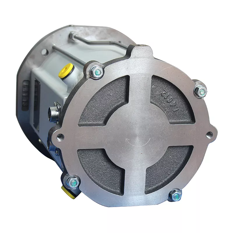 Screw Vacuum Pump Motor